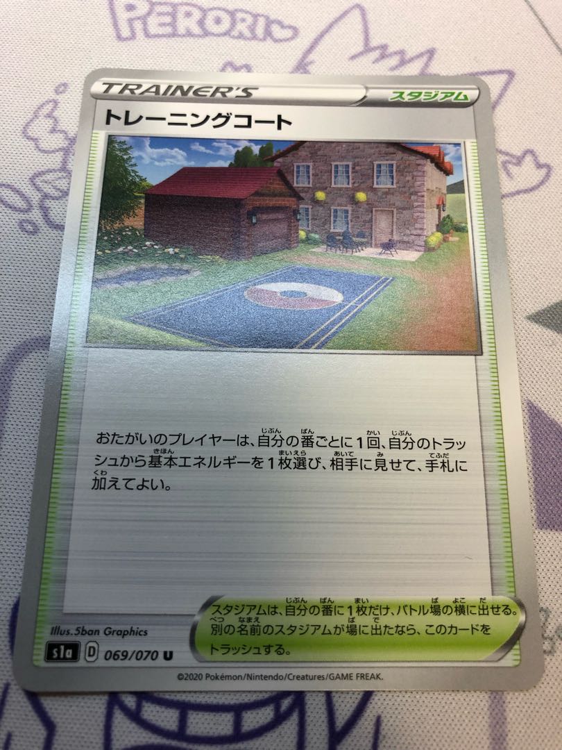 Training Court Snow Road to the Top