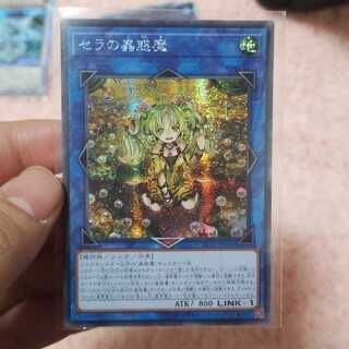 専用　セラの蟲惑魔　融合派兵　20th　アジアシク　