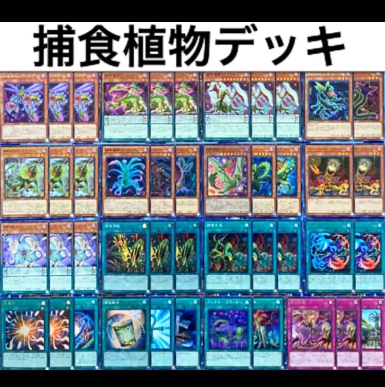遊戯王 捕食植物 デッキ 本格構築 未使用スリーブ付き プレデタープランツ - zimazw.org 遊戯王 捕食植物 デッキ 本格構築 未使用スリーブ付き プレデタープランツ - zimazw.org
