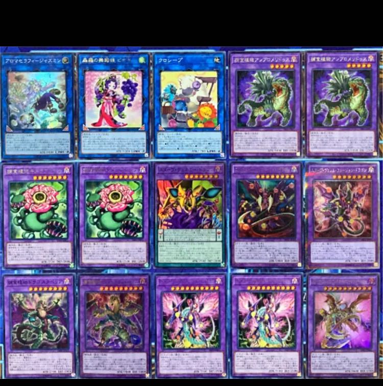 遊戯王 捕食植物 デッキ 本格構築 未使用スリーブ付き プレデタープランツ - zimazw.org 遊戯王 捕食植物 デッキ 本格構築 未使用スリーブ付き プレデタープランツ - zimazw.org