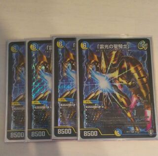 "Holy knight of lightning."