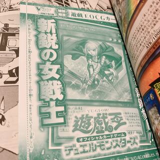 The New Woman Warrior