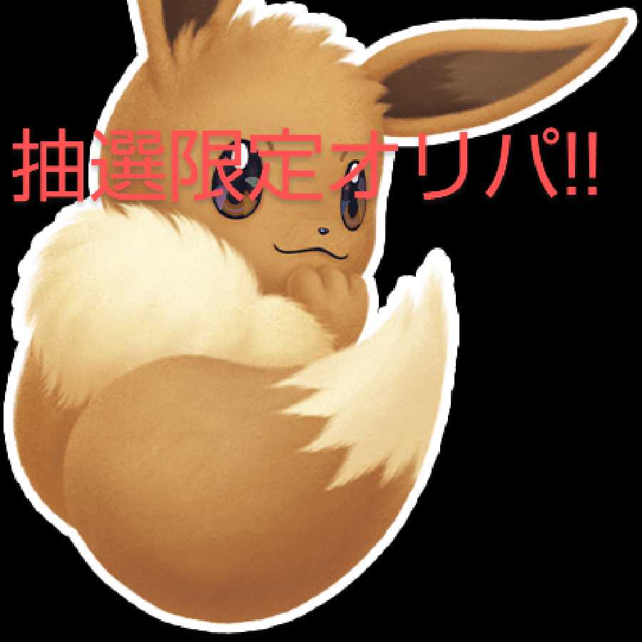 たぬき@ポケカ様専用