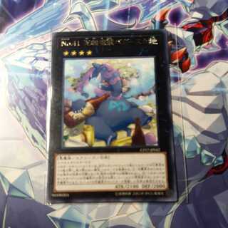 Number 41: Bagooska the Terribly Tired Tapir Rare