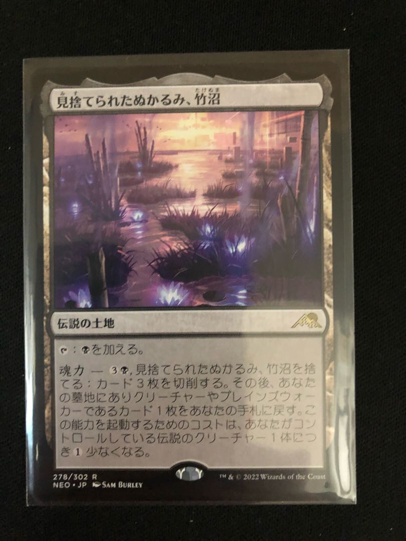 Abandoned Slush, Bamboo Swamp