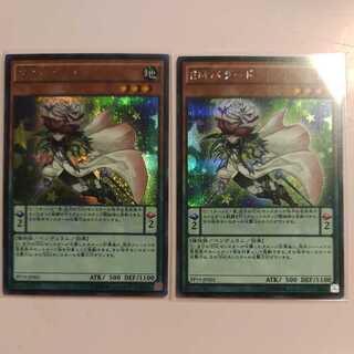 Performapal Ballad Secret Rare JP001 PP19 2 copies