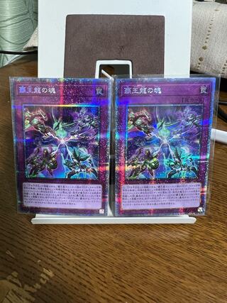 Soul of the Supreme Dragon [Prisik] 2 piece set