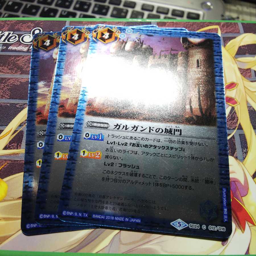 ガルダンドの城門 1枚