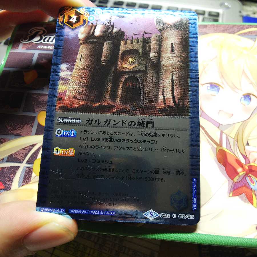 ガルダンドの城門 1枚