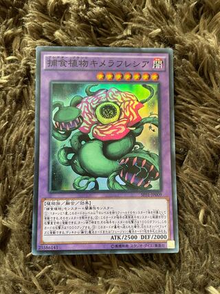 Predaplant Chimerafflesia Super Rare