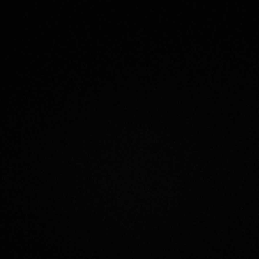 Fallen Demon Du Poise R