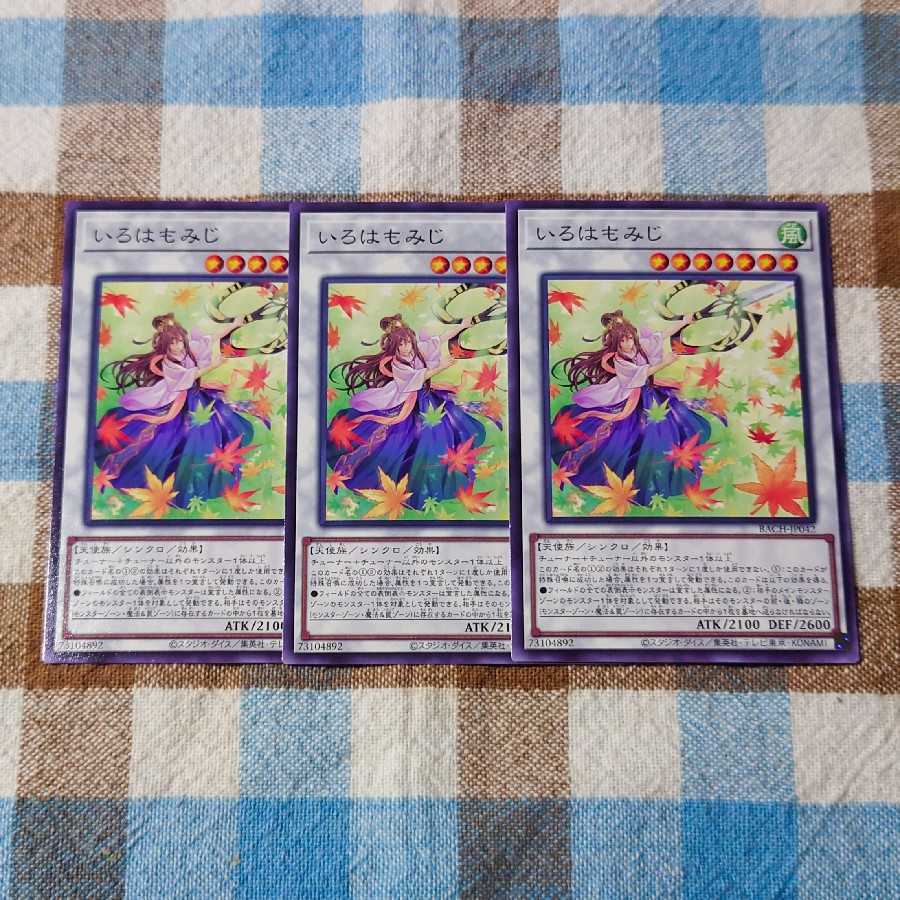 Iroha momiji normal JP042