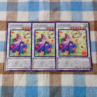 Iroha momiji normal JP042