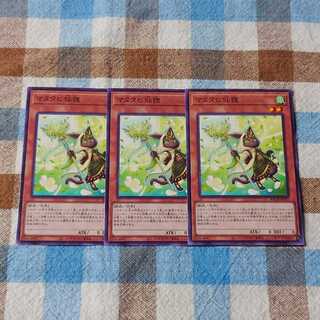 Yu-Gi-Oh! Matatabi Sen-Raccoon Set
