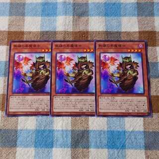 遊戯王 熟練の栗魔導士 セット