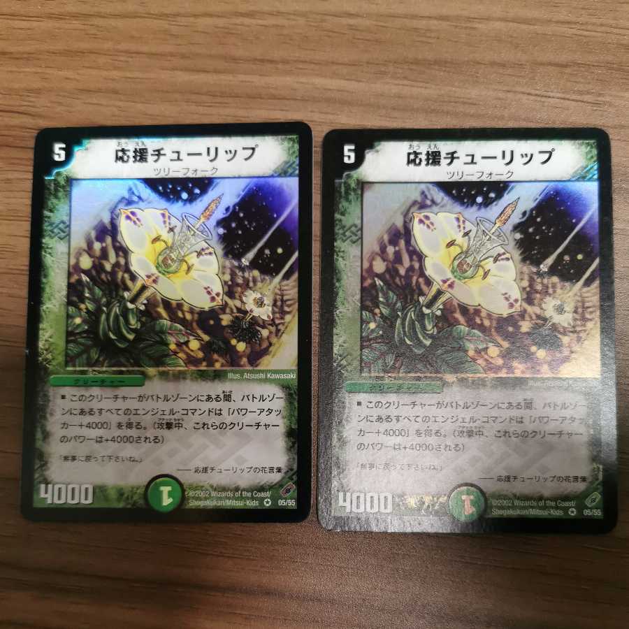 応援チューリップ 2枚（セット購入） 2枚