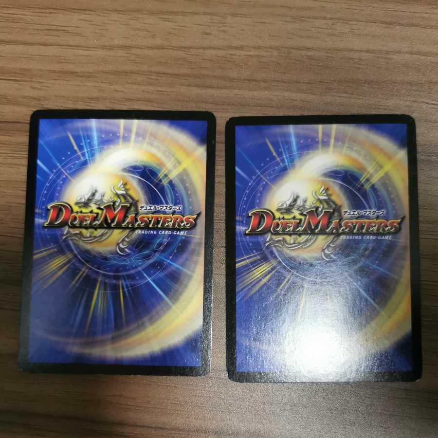 応援チューリップ 2枚（セット購入） 2枚