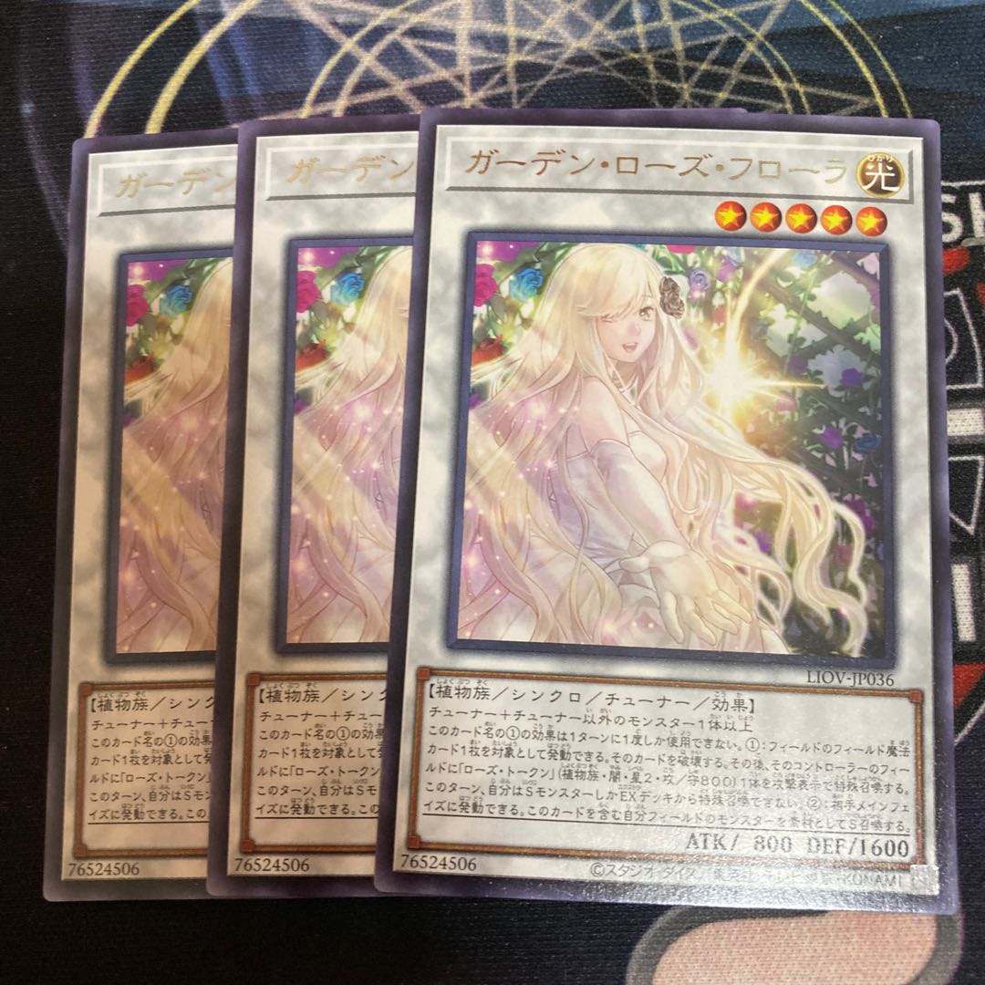 Garden Rose Flora Rare 3pcs