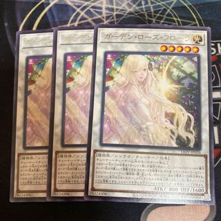 Garden Rose Flora Rare 3pcs