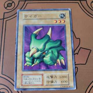 Saiger Initial Normal