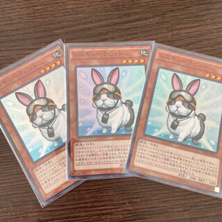 Rescue Rabbit Super Rare 3pcs