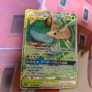 フシギバナ&ツタージャ