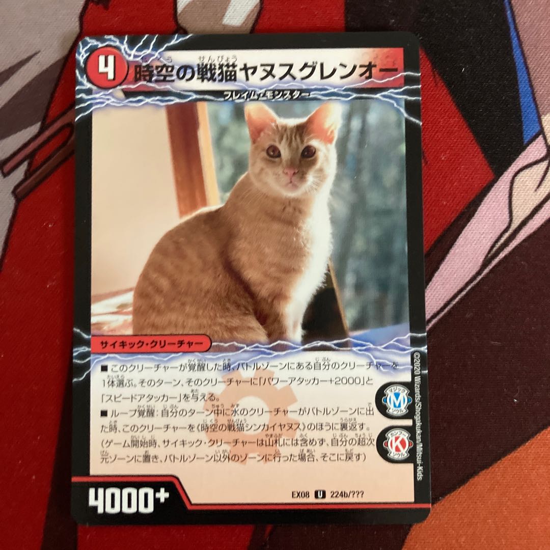 Space-time War Cat Shinkaiyanus|Space-time War Cat Janus Glenor 581