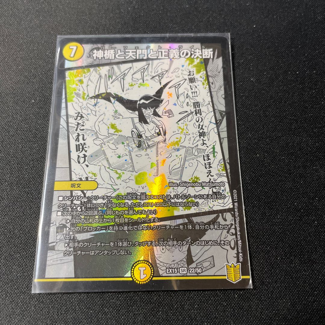 The Divine Shield, the Heavenly Gate, and the Decision of Justice (Perfect Light) SR