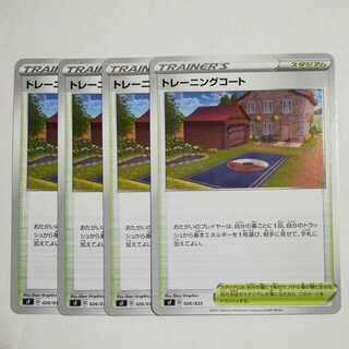 Training Court Set of 4