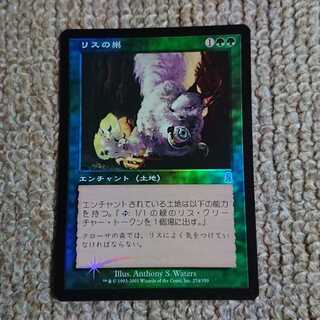 MTG リスの巣 Foil 日本語