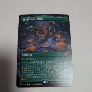 What endures, Mother Holy Tree Borderless