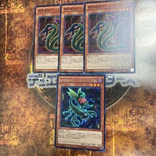 Yu-Gi-Oh *Predaplant Ophrys Scorpio, Darling Cobra *.