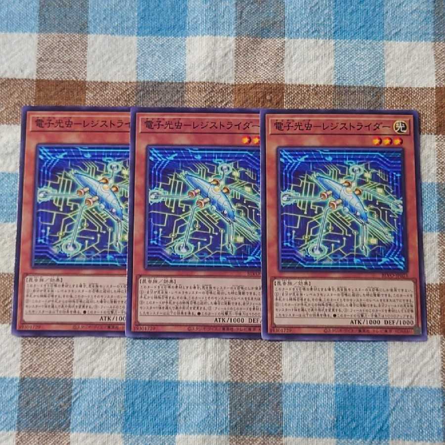 電子光虫-レジストライダー ノーマル JP023