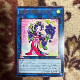 森羅の舞踏娘 ピオネ レア