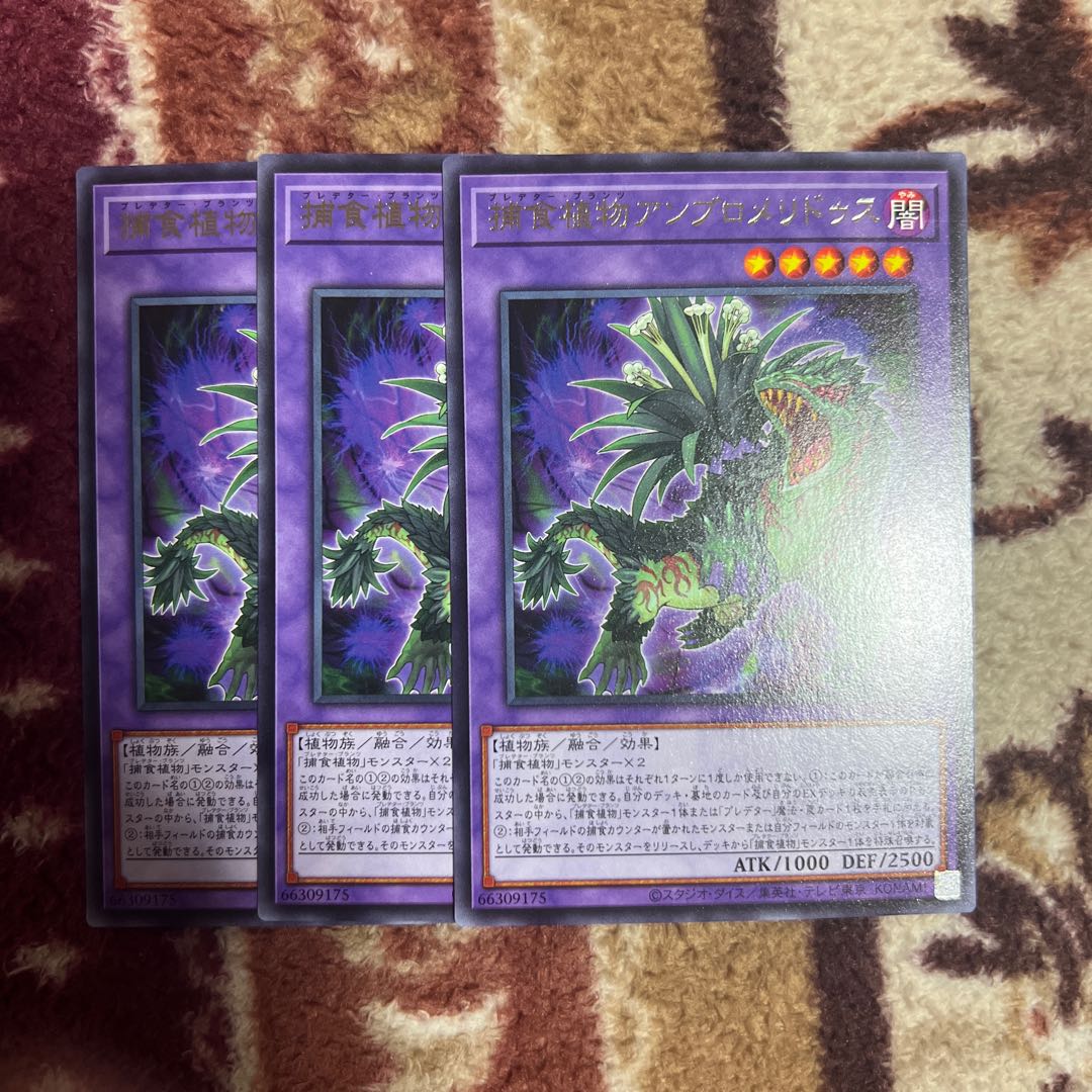 Prey Upon plant ambromeridus rare