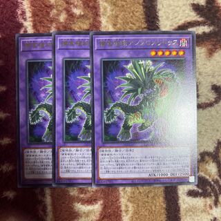 捕食植物アンブロメリドゥス レア