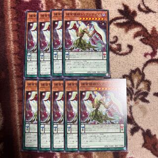 捕食植物トリアンティス ノーマル