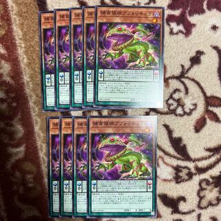 Prey Upon Plant Buphoricure Normal