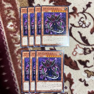 アルグールマゼラ ノーマル