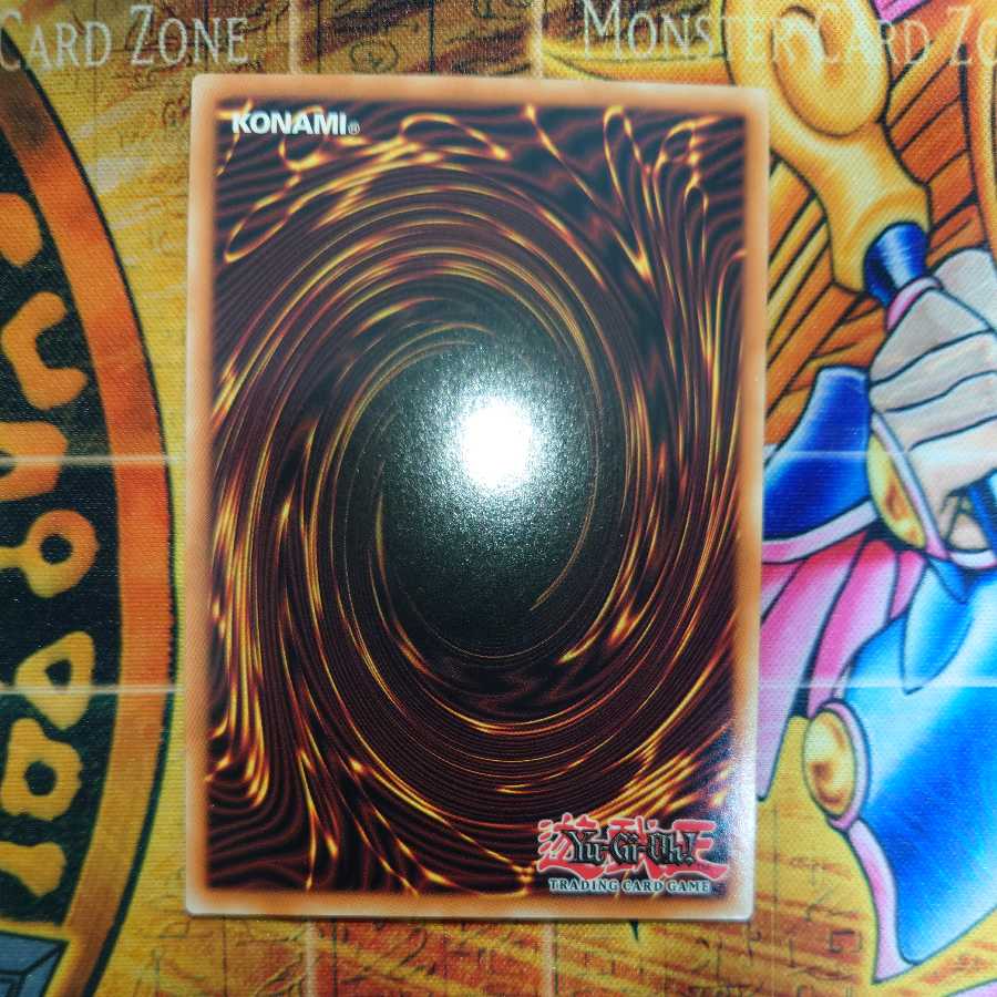 Predaplant Verte Anaconda (Pregol)