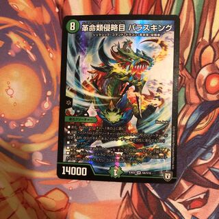 革命類侵略目 パラスキング