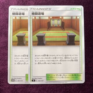 Martial Arts Dojo 2 pieces