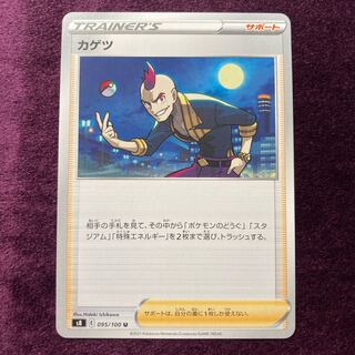 Japanese cedar (Cryptomeria japonica)