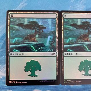 1 MTG foil Forest