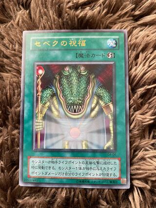 セベクの祝福 ウルトラレア