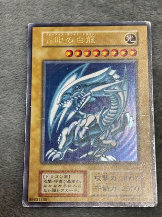 for the exclusive use of Mr. Koromaru