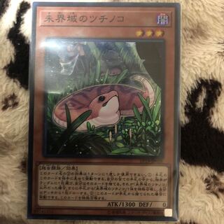 未界域のツチノコ 1枚