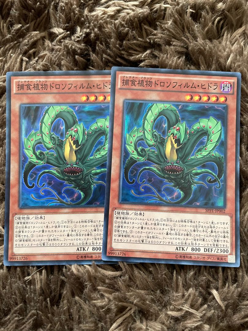 Predaplant Drosophyllum Hydra 2 Super Rare