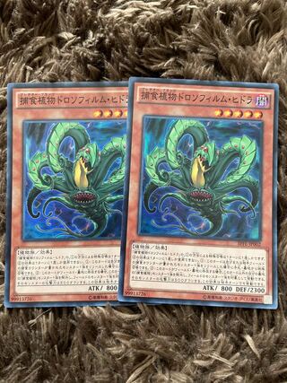 捕食植物ドロソフィルム・ヒドラ スーパーレア2枚