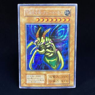 Ultimate Integrity Body Great Moth